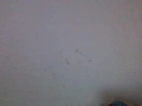 Snapshot of mamapussy003 chatting on May 19, 2026, 5:09 pm mamapussy003 online show from May 19, 2026, 5:09 pm