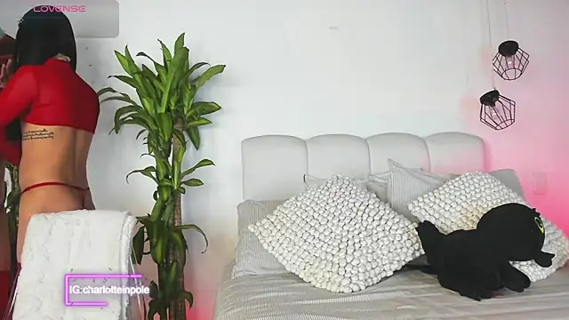 charlotteinpool online show from June 23, 2026, 5:49 am