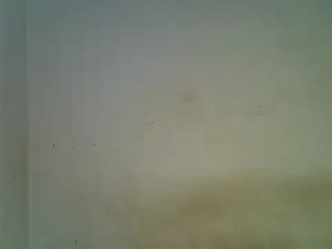 Snapshot of BIGASS_DIANAH chatting on May 23, 2026, 6:51 pm BIGASS DIANAH online show from May 23, 2026, 6:51 pm