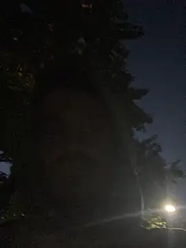 YoungBigWhiteCockGuy online show from June 2, 2026, 3:39 am