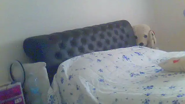 Snapshot of Alaska-perla chatting on June 26, 2026, 9:15 am Alaska-perla online show from June 26, 2026, 9:15 am