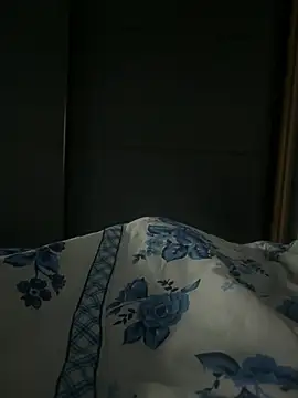 Snapshot of Danilo_silva00 chatting on June 2, 2026, 5:07 am Danilo silva00 online show from June 2, 2026, 5:07 am