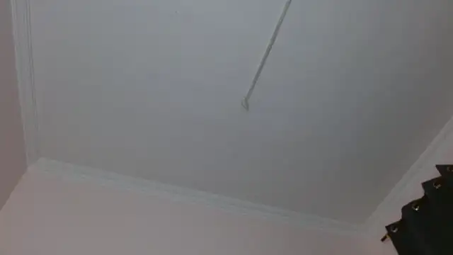 Snapshot of amara_sanchez chatting on July 8, 2026, 1:01 pm amara sanchez online show from July 8, 2026, 1:01 pm