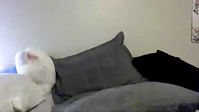 Snapshot of tslay chatting on July 16, 2026, 3:42 pm tslay online show from July 16, 2026, 3:42 pm