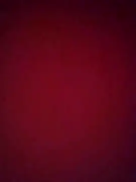 Snapshot of bellabrik chatting on June 23, 2026, 7:12 pm bellabrik online show from June 23, 2026, 7:12 pm