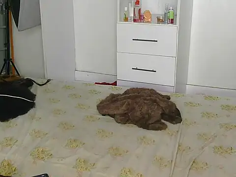 Snapshot of SexyLi_ chatting on July 30, 2026, 2:21 am SexyLi online show from July 30, 2026, 2:21 am
