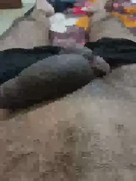 Daddycock 24 online show from June 20, 2026, 2:22 pm