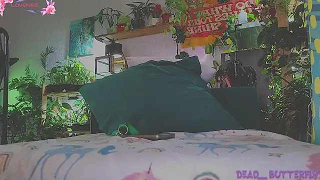 Snapshot of Dead_Butterfly chatting on March 14, 2025, 4:32 am Dead Butterfly online show from March 14, 2025, 4:32 am