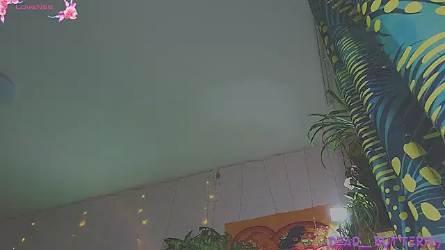 Snapshot of Dead_Butterfly chatting on January 31, 2025, 12:40 pm Dead Butterfly online show from January 31, 2025, 12:40 pm