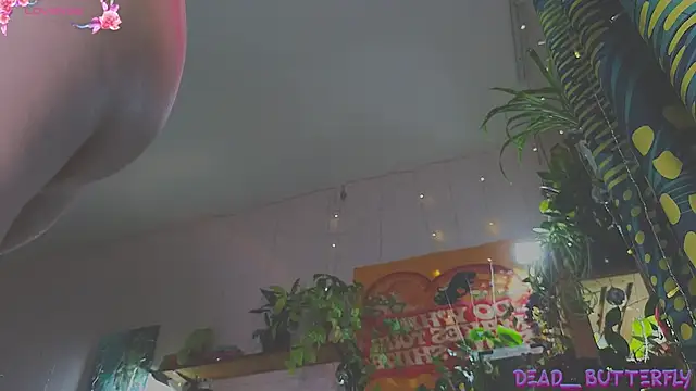 Snapshot of Dead_Butterfly chatting on February 8, 2025, 3:41 am Dead Butterfly online show from February 8, 2025, 3:41 am