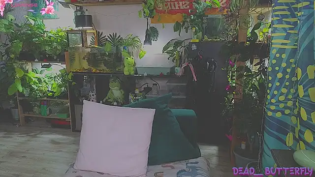 Snapshot of Dead_Butterfly chatting on February 16, 2025, 4:20 am Dead Butterfly online show from February 16, 2025, 4:20 am