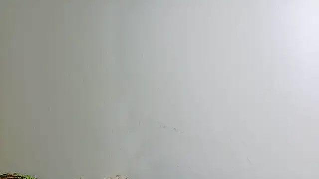 irisconde online show from December 16, 2025, 8:24 pm