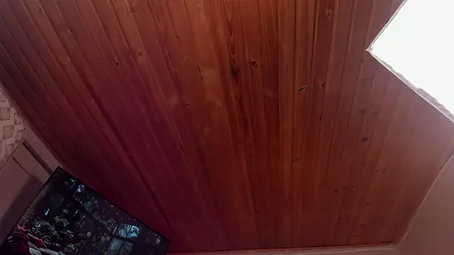 coraline latin online show from February 27, 2025, 9:04 pm