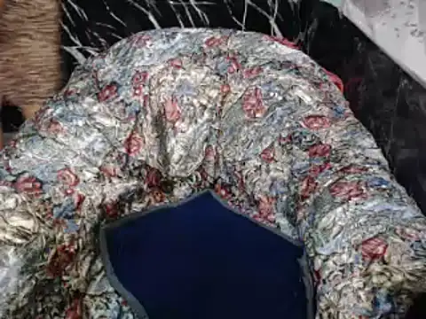 Snapshot of ASIANDOLLY4U chatting on February 2, 2026, 10:31 pm ASIANDOLLY4U online show from February 2, 2026, 10:31 pm