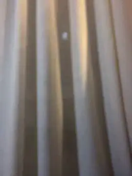 Chic desire online show from February 22, 2026, 6:53 pm