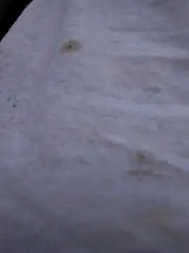 Biknight online show from October 21, 2025, 2:38 pm