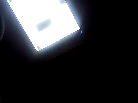 Skody31 online show from January 11, 2025, 6:45 am