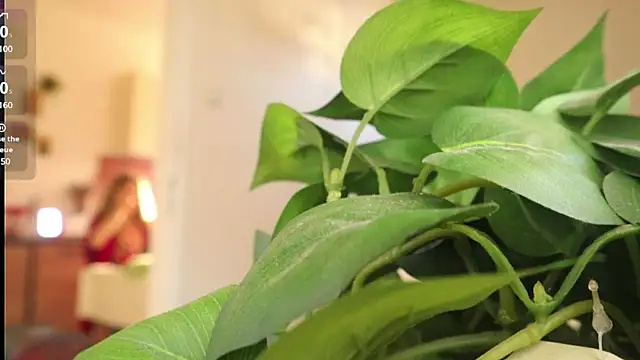 Kishaxxx online show from March 6, 2025, 2:08 pm