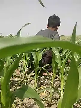 ThethunderPo online show from March 5, 2025, 8:10 am