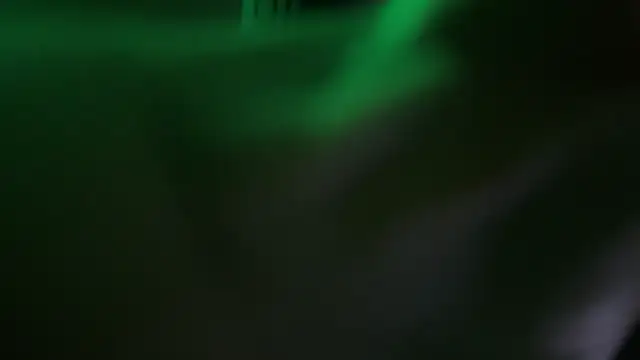 illaroom online show from February 20, 2025, 7:41 pm