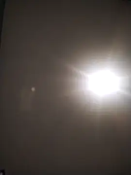 gusaven online show from October 27, 2025, 8:15 am