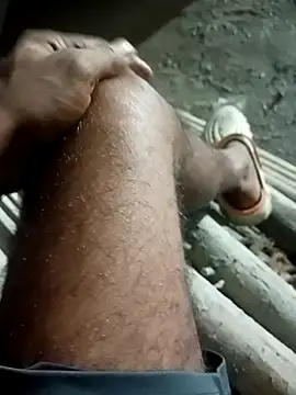 Bengali BULL1 online show from September 30, 2025, 4:13 pm