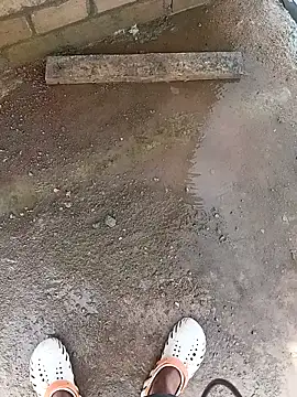 Bengali BULL1 online show from October 10, 2025, 4:35 am