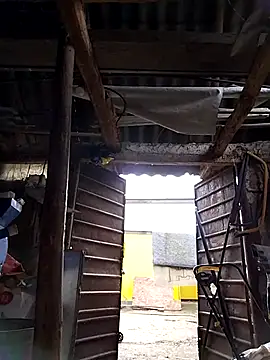 sarpe4 online show from October 4, 2025, 5:20 am