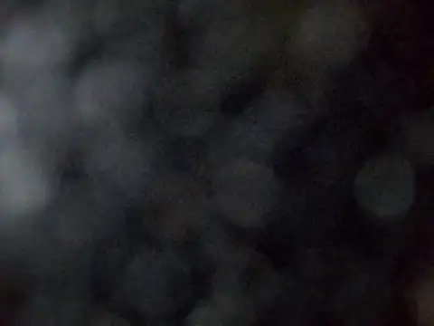 sarpe4 online show from March 28, 2026, 1:56 pm