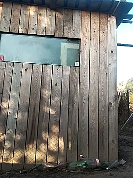 sarpe4 online show from September 21, 2025, 5:12 am