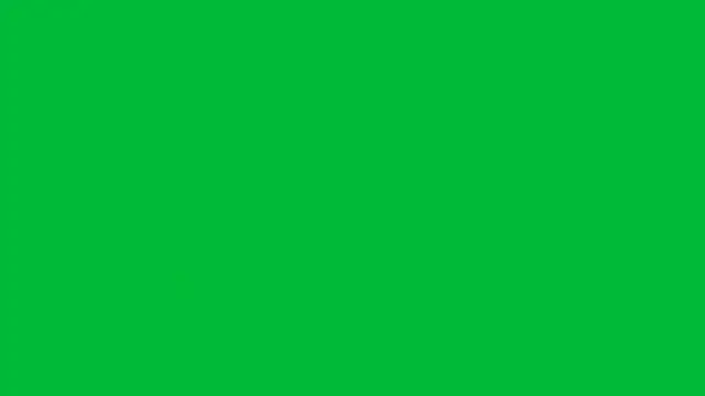 robertocastillo-2017 online show from March 14, 2026, 7:03 am