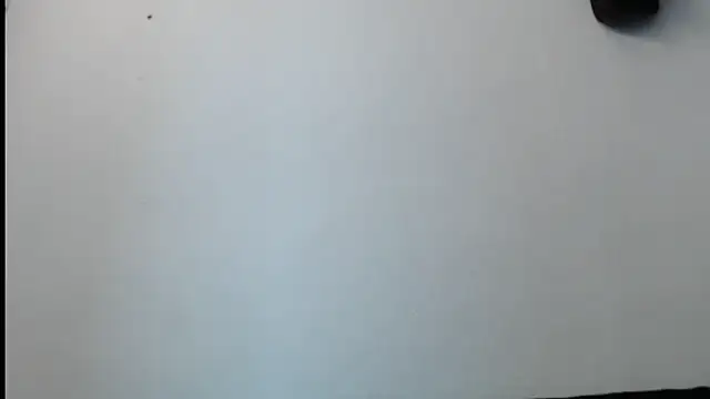 SebastianReiss online show from February 13, 2025, 1:29 am