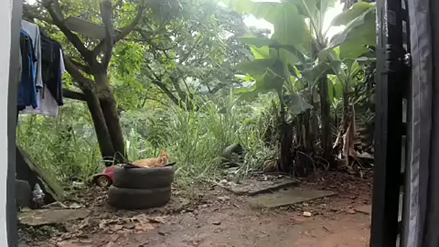 venusandzeusxh online show from February 27, 2025, 1:17 pm