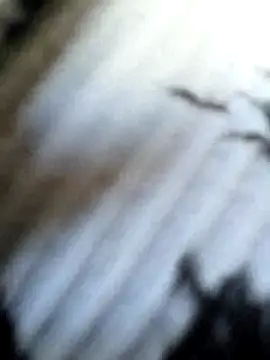 Snapshot of Frost_foxy chatting on September 12, 2025, 3:39 am Frost foxy online show from September 12, 2025, 3:39 am