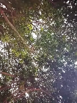 Brenda Berck  online show from April 5, 2026, 12:56 pm