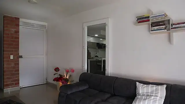 Snapshot of _Vahos_ chatting on November 4, 2025, 5:28 pm Vahos online show from November 4, 2025, 5:28 pm