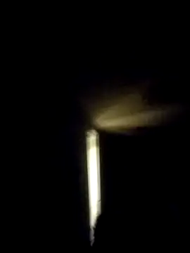 trucker1979 online show from November 9, 2025, 8:07 am