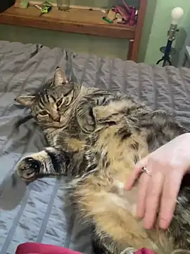 jaseyrae online show from March 13, 2025, 8:54 pm