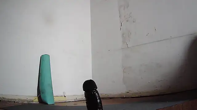 seoulsatxh online show from February 8, 2025, 6:01 pm