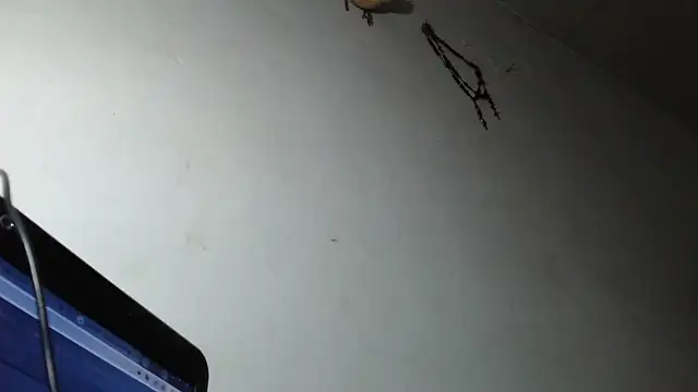 adrixxx38 online show from March 5, 2026, 12:18 am