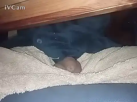 Bigdick666cm online show from March 6, 2025, 3:13 am