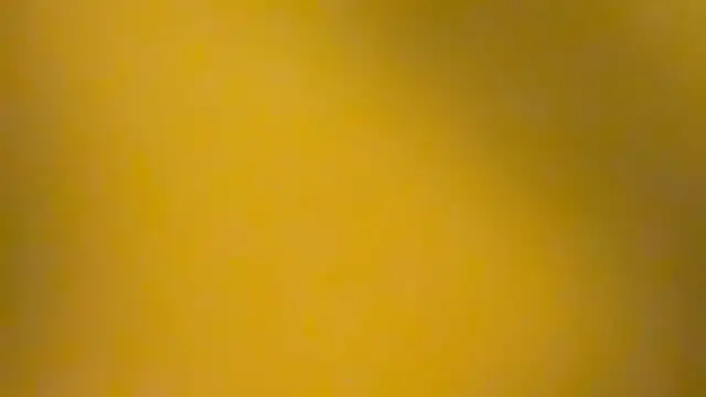 fmodel online show from January 3, 2025, 3:44 pm