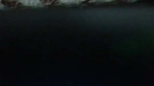 Leo Big online show from September 23, 2025, 11:23 pm