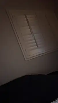 pussyaddict21 online show from January 8, 2025, 5:59 am