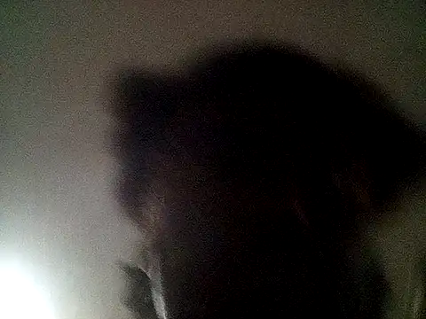 blasphemous online show from February 7, 2025, 9:47 am