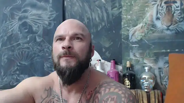 viking 30 online show from November 3, 2025, 7:50 pm