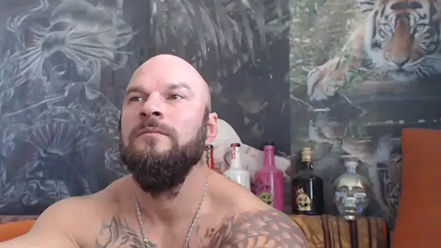 viking 30 online show from October 30, 2025, 7:06 am