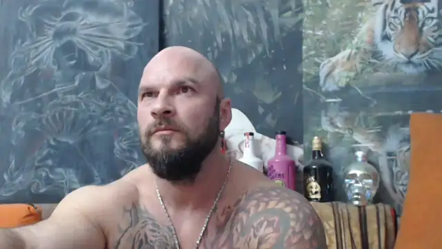 viking 30 online show from October 11, 2025, 5:58 pm