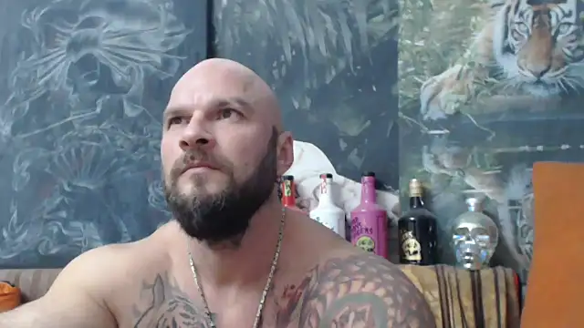 viking 30 online show from October 9, 2025, 7:03 pm