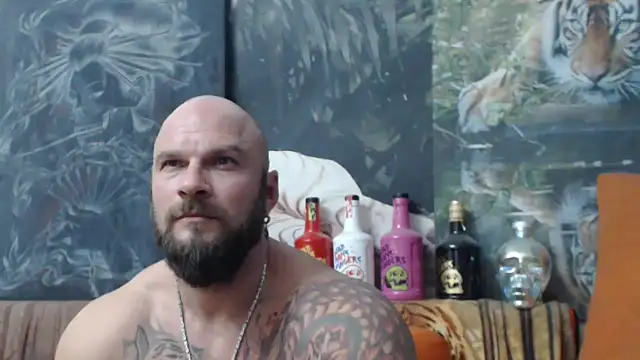 viking 30 online show from October 25, 2025, 7:14 pm